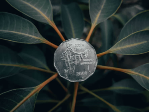 Fidelity ETF